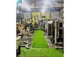 Cho thuê nhà 150/2 Quang Trung  P.10, Q.Gò Vấp, Tp.HCM. Giá 70 Triệu