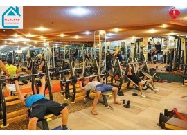 CHO THUÊ NHÀ 66 NI SƯ HUỲNH LIÊN, P.10, Q.TÂN BÌNH. Giá 120 triệu