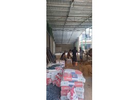 Cho thuê nhà mặt tiền: 1272 Quang Trung, P8, Gò Vấp