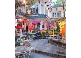 Cho thuê Biệt Thự : 149/12 Bành Văn Trân, Phường 7, Quận Tân Bình. Giá thuê : 60 triệu/tháng