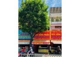 Cho thuê Nhà mặt tiền : 187 Xô Viết Nghệ Tĩnh, Phường 17, Quận Bình Thạnh. Giá thuê: 65 triệu/tháng