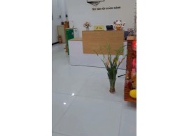 Cho thuê Nhà mặt tiền Cityland : 07 Đường số 11, Cityland Park, Quận Gò Vấp. Giá thuê: 40 triệu/thán