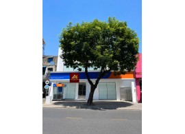 BÁN GẤP TÒA NHÀ MT 398 Lê Văn Sỹ, Q.3. Giá 170 tỷ