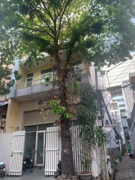 Cho Thuê Tòa Nhà : 436B/44 Đường 3/2, Phường 12, Quận 10. Giá thuê : 150 triệu/tháng