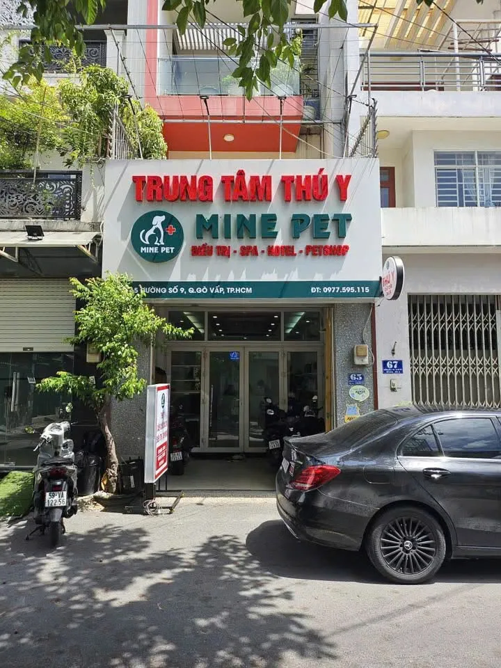 Cho thuê Nhà mặt tiền : 65 Đường Số 9, Phường 8, Quận Gò Vấp. Giá thuê : 22 triệu/tháng