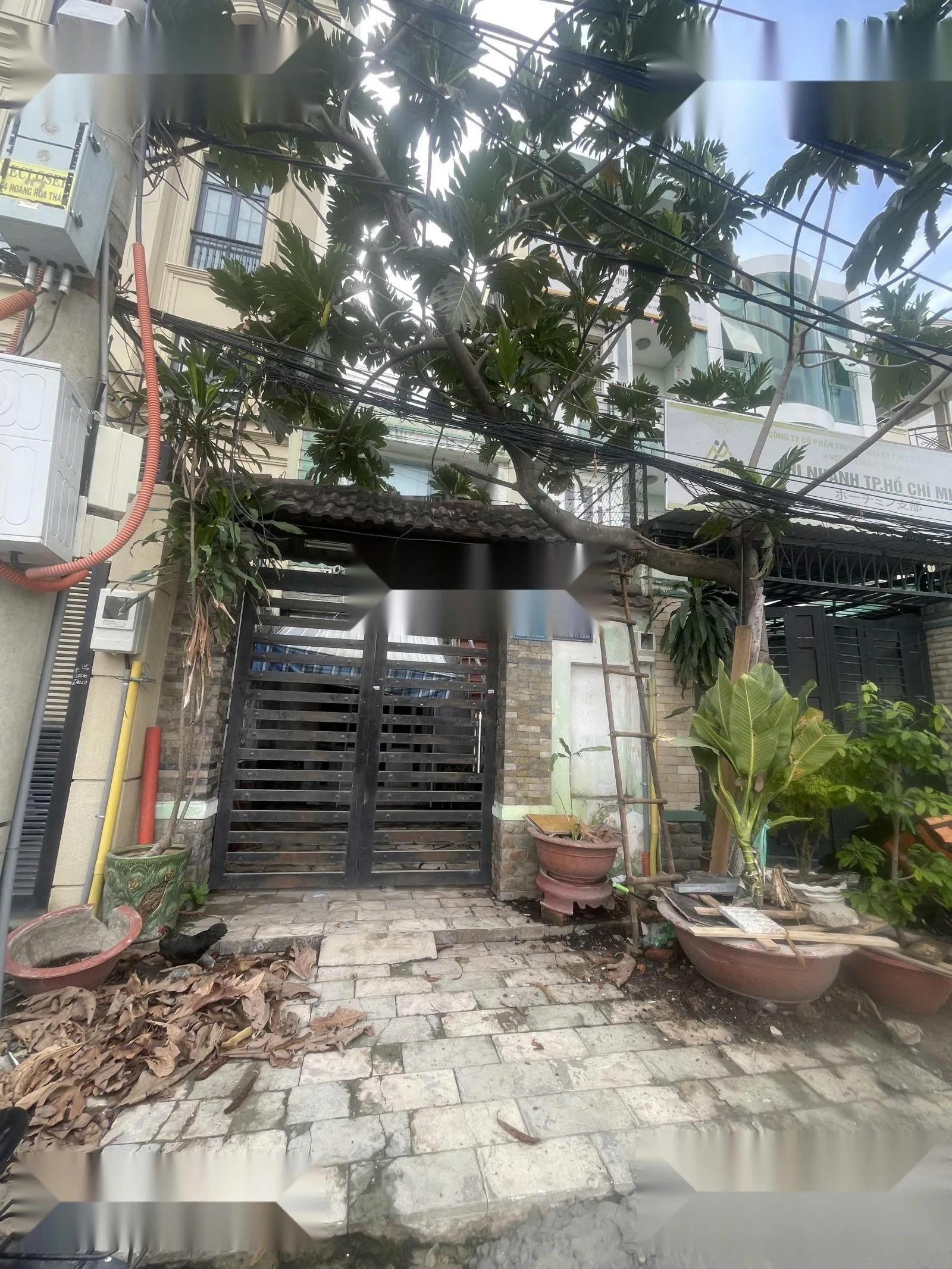 Cho thuê Nhà mặt tiền : 282 Hoàng Hoa Thám, Phường 12, Quận Tân Bình. Giá thuê : 35 triệu/tháng